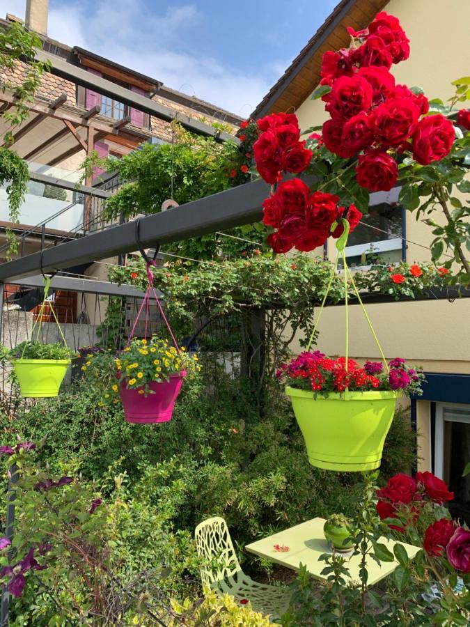 Apartamento La Gremillette Gourmande Lavaux Rivaz Exterior foto