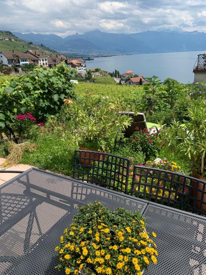 Apartamento La Gremillette Gourmande Lavaux Rivaz Exterior foto