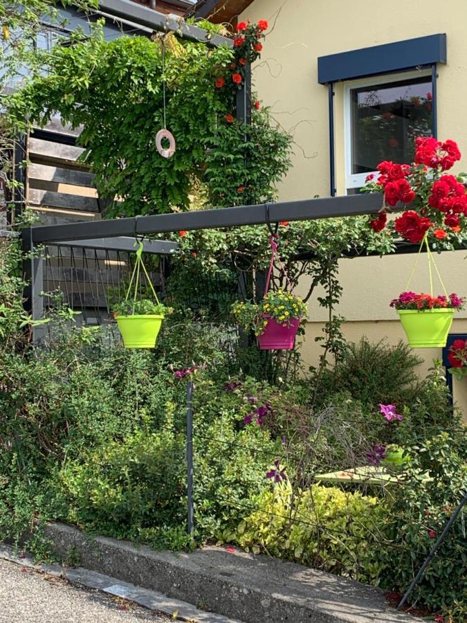 Apartamento La Gremillette Gourmande Lavaux Rivaz Exterior foto