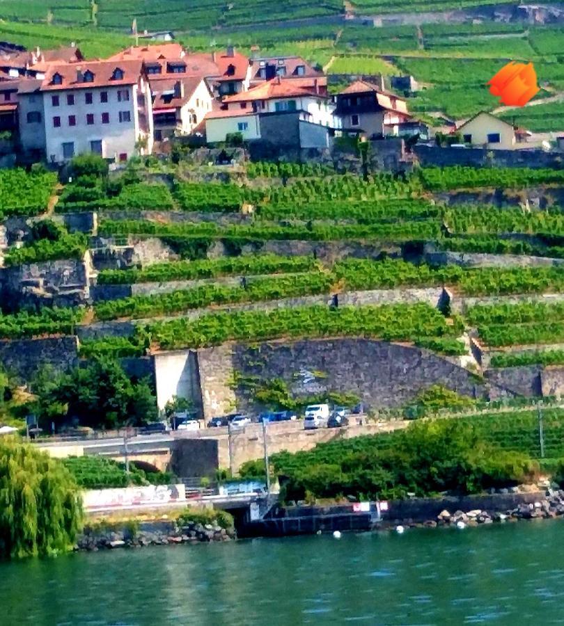 Apartamento La Gremillette Gourmande Lavaux Rivaz Exterior foto