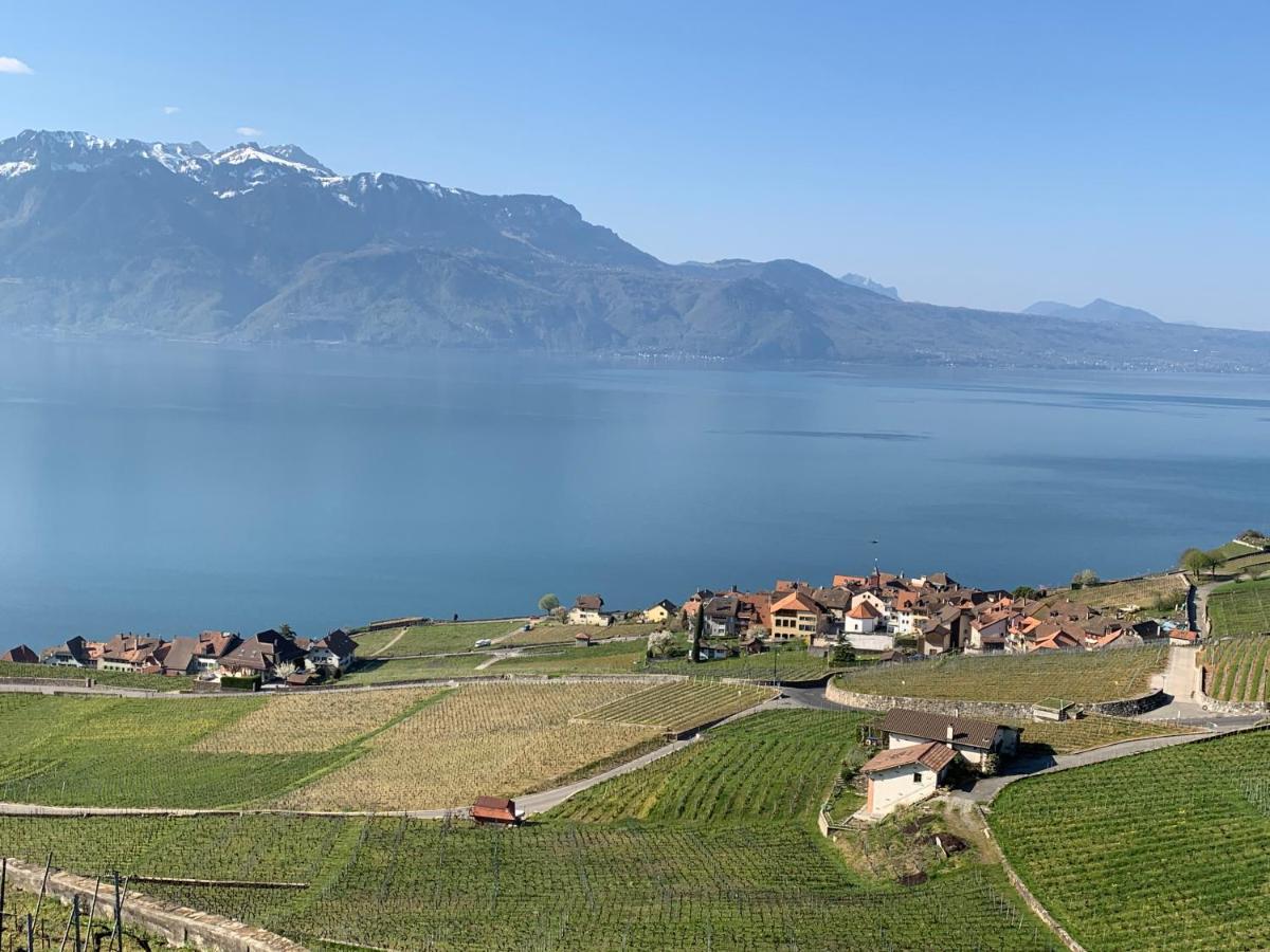 Apartamento La Gremillette Gourmande Lavaux Rivaz Exterior foto
