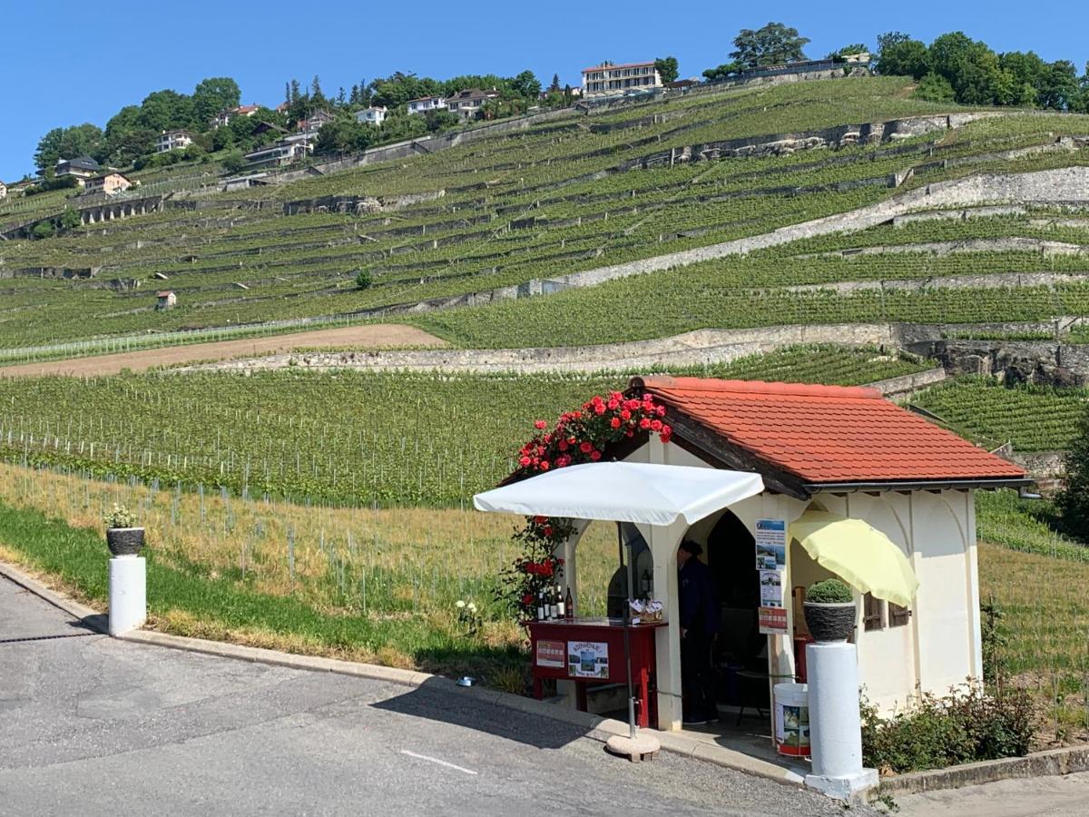 Apartamento La Gremillette Gourmande Lavaux Rivaz Exterior foto