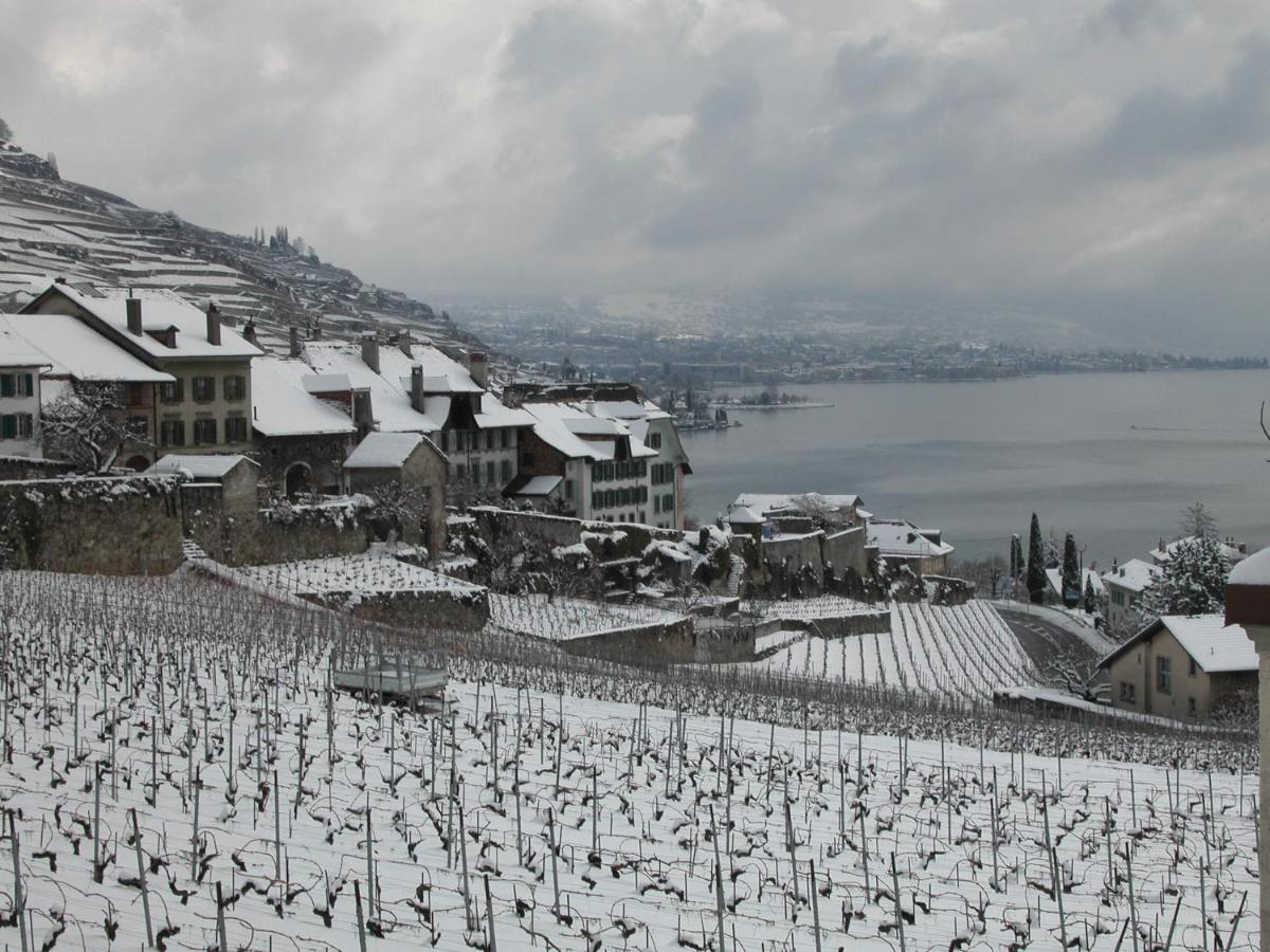 Apartamento La Gremillette Gourmande Lavaux Rivaz Exterior foto